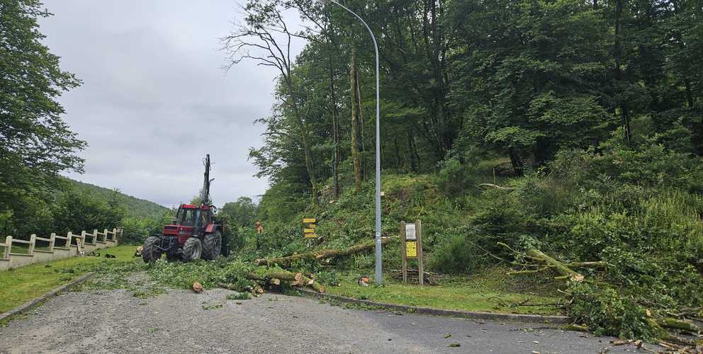 Mise en sécurité des talus