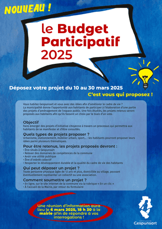 Réunion d'information : Budget participatif