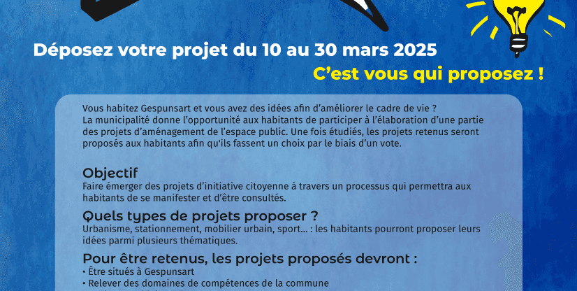 Réunion d'information : Budget participatif