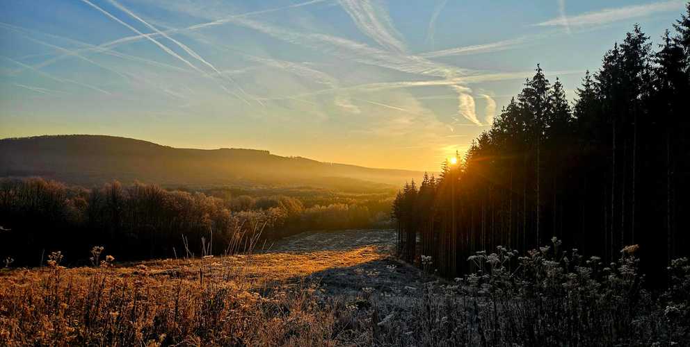 Réunion d'information : Quel avenir pour la forêt de Gespunsart ?