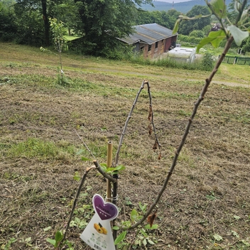 Actes de vandalisme