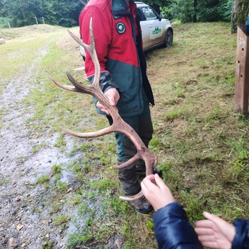 Sortie nature avec nos petits écoliers